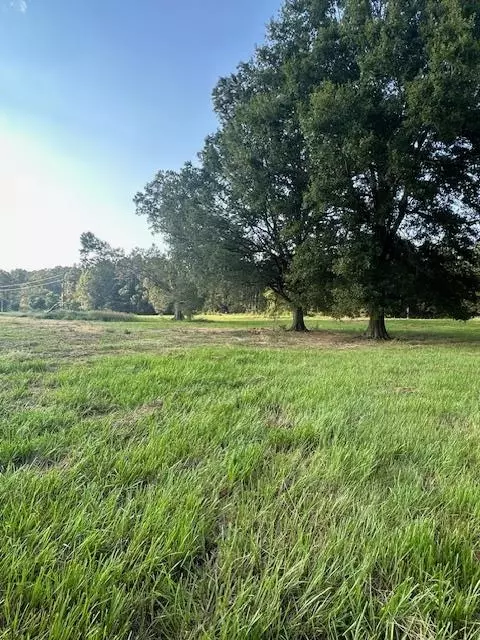 0000 Summit Dr SW, Bogue Chitto, MS 39629