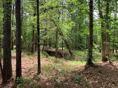 . Neal Posey Road, Mccall Creek, MS 39647
