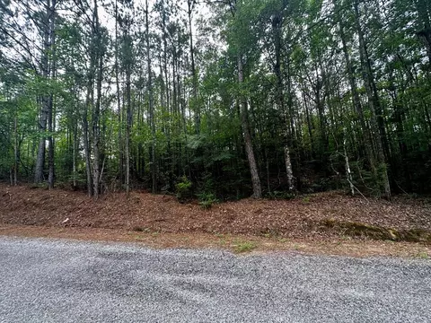 0 W Nebo Rd, Gloster, MS 39638 photo 3