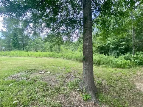 965 Jayess Rd, Jayess, MS 39641 photo 52