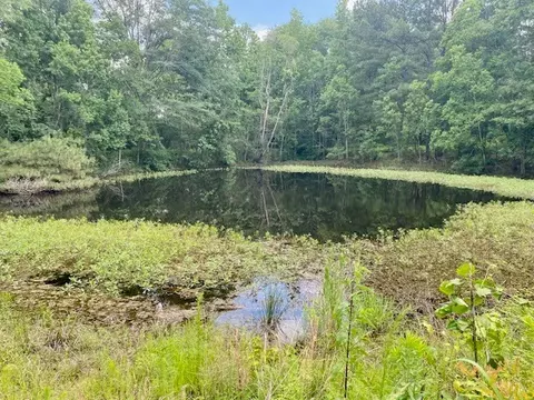 965 Jayess Rd, Jayess, MS 39641 photo 37