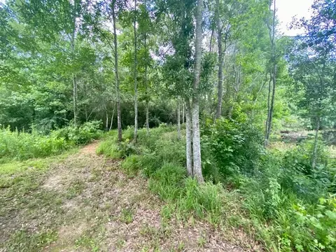 965 Jayess Rd, Jayess, MS 39641 photo 38