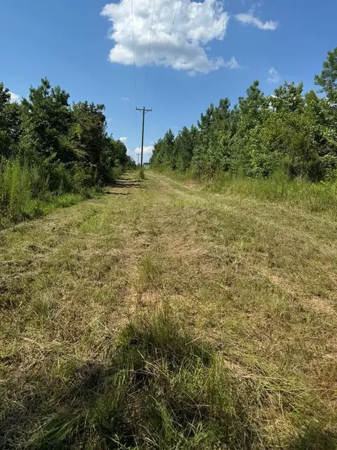 000 Ashley Rd, Hazlehurst, MS 39083 photo 13