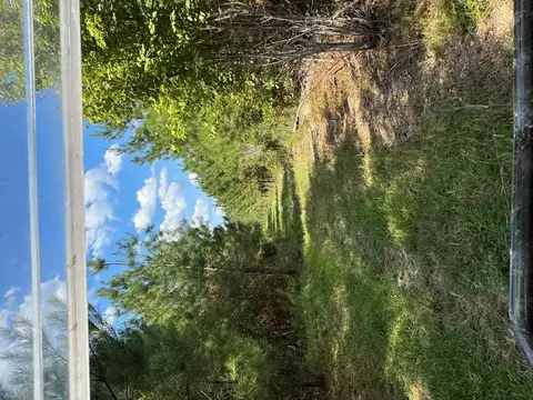 000 Ashley Rd, Hazlehurst, MS 39083 photo 20