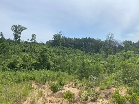 000 Ashley Rd, Hazlehurst, MS 39083 photo 2