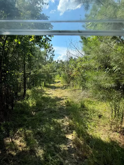 000 Ashley Rd, Hazlehurst, MS 39083 photo 16