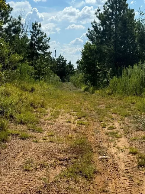 000 Ashley Rd, Hazlehurst, MS 39083 photo 11