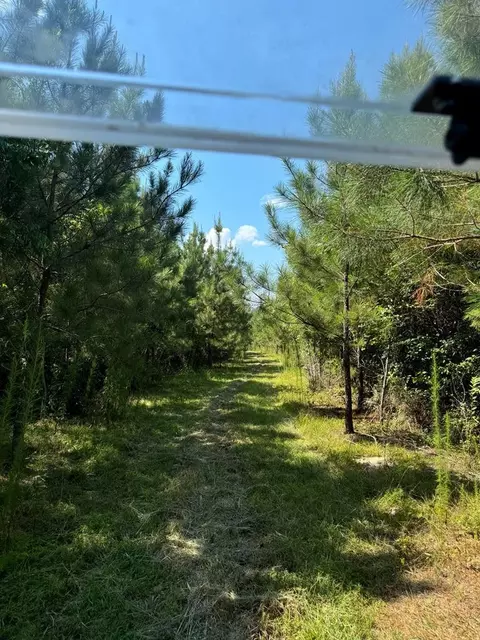 000 Ashley Rd, Hazlehurst, MS 39083 photo 15