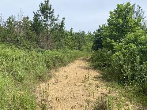 000 Ashley Rd, Hazlehurst, MS 39083 photo 5