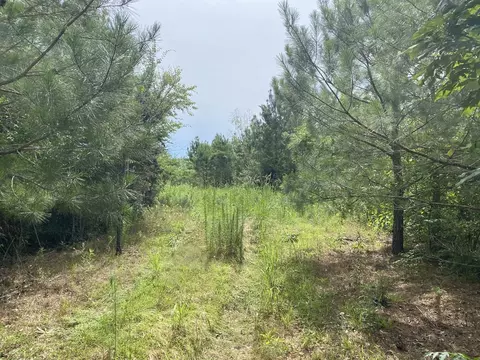 000 Ashley Rd, Hazlehurst, MS 39083 photo 9