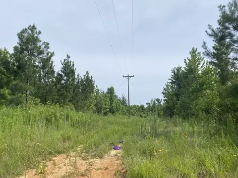 000 Ashley Rd, Hazlehurst, MS 39083 photo 7
