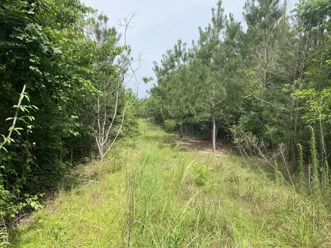 000 Ashley Rd, Hazlehurst, MS 39083 photo 8