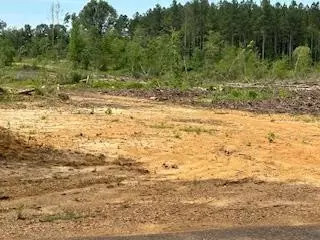 tbd Daughdrill, Bogue Chitto, MS 39629