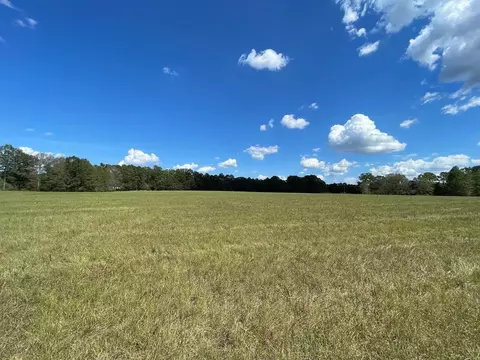 tbd Raborn Rd, Mccomb, MS 39648 photo 3
