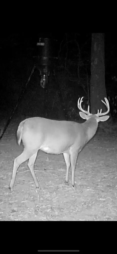 tbd Raborn Rd, Mccomb, MS 39648 photo 10