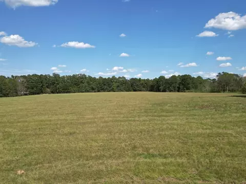 tbd Raborn Rd, Mccomb, MS 39648 photo 7