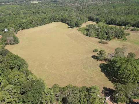 tbd Raborn Rd, Mccomb, MS 39648 photo 1