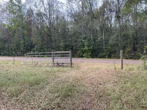 tbd Raborn Rd, Mccomb, MS 39648 photo 4