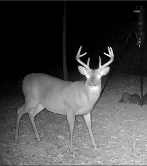 tbd Raborn Rd, Mccomb, MS 39648 photo 8
