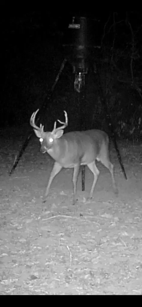 tbd Raborn Rd, Mccomb, MS 39648 photo 9