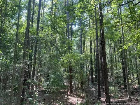 1539 Jackson-liberty Rd, Brookhaven, MS 39601 photo 7
