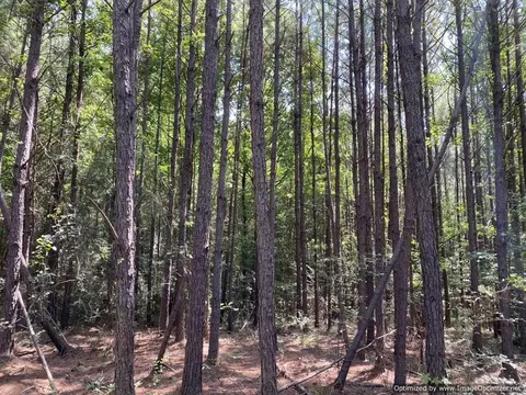 1539 Jackson-liberty Rd, Brookhaven, MS 39601 photo 14