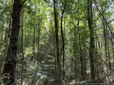 1539 Jackson-liberty Rd, Brookhaven, MS 39601 photo 15