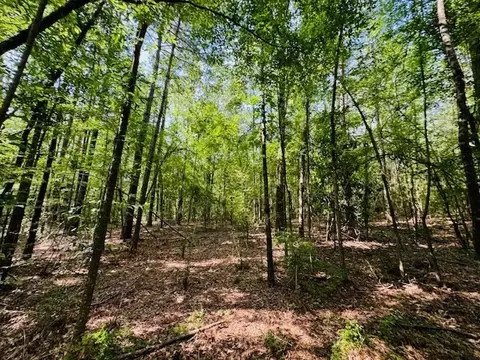 tbd Lee Dr, Bogue Chitto, MS 39629 photo 41