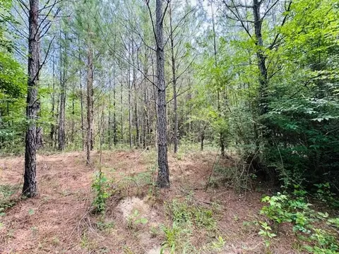 tbd Lee Dr, Bogue Chitto, MS 39629 photo 35