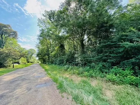 tbd Lee Dr, Bogue Chitto, MS 39629 photo 31