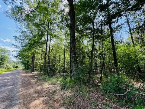 tbd Lee Dr, Bogue Chitto, MS 39629 photo 6