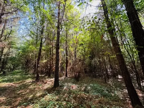 tbd Lee Dr, Bogue Chitto, MS 39629 photo 38