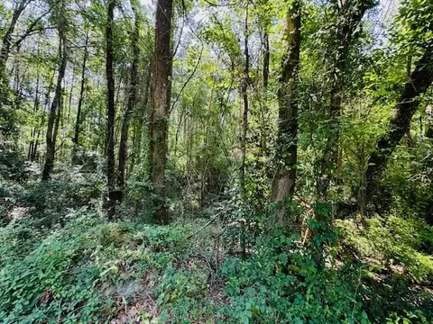 tbd Lee Dr, Bogue Chitto, MS 39629 photo 3
