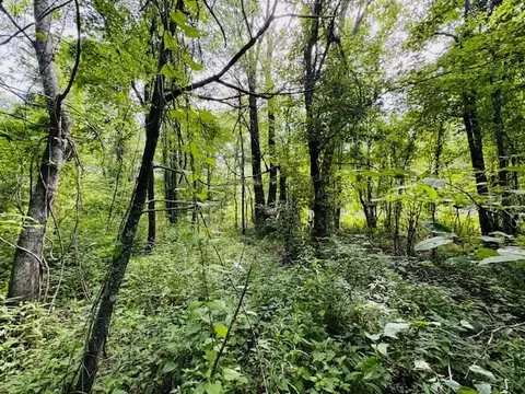 tbd Lee Dr, Bogue Chitto, MS 39629 photo 11