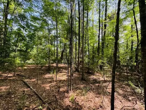 tbd Lee Dr, Bogue Chitto, MS 39629 photo 42