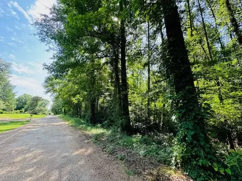 tbd Lee Dr, Bogue Chitto, MS 39629 photo 29