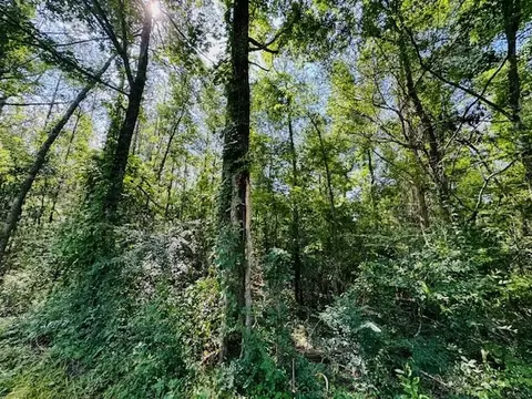tbd Lee Dr, Bogue Chitto, MS 39629 photo 4