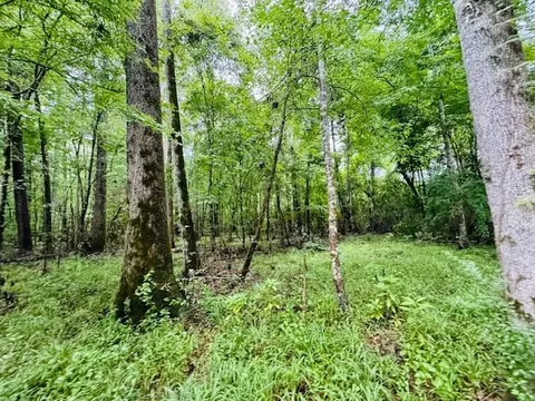 tbd Lee Dr, Bogue Chitto, MS 39629 photo 21