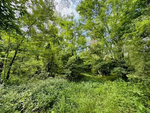 tbd Lee Dr, Bogue Chitto, MS 39629 photo 10