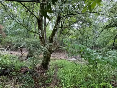 tbd Lee Dr, Bogue Chitto, MS 39629 photo 20