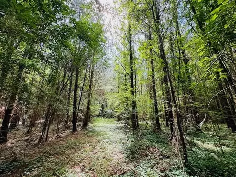 tbd Lee Dr, Bogue Chitto, MS 39629 photo 36