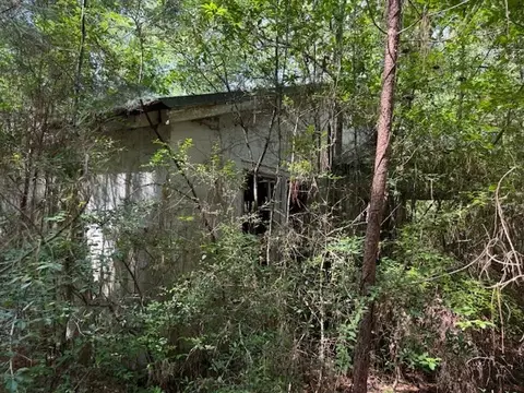 tbd Lee Dr, Bogue Chitto, MS 39629 photo 43