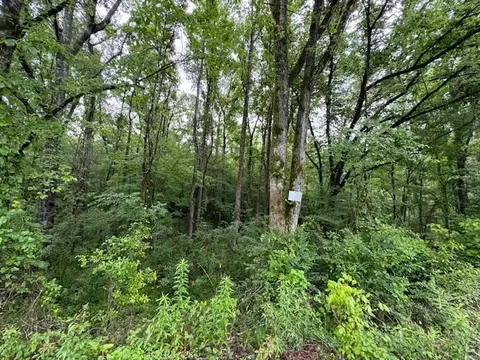 tbd Lee Dr, Bogue Chitto, MS 39629 photo 17