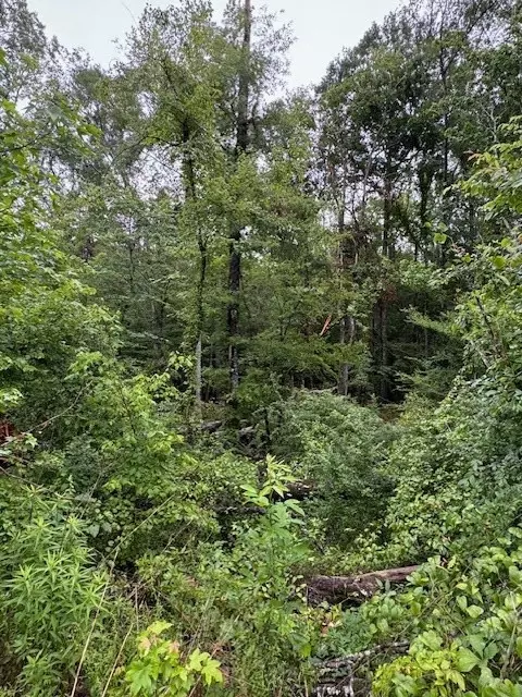 tbd Lee Dr, Bogue Chitto, MS 39629 photo 16