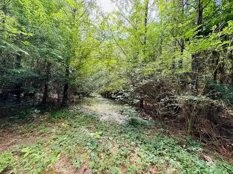 tbd Lee Dr, Bogue Chitto, MS 39629 photo 8