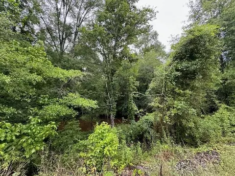 tbd Lee Dr, Bogue Chitto, MS 39629 photo 19
