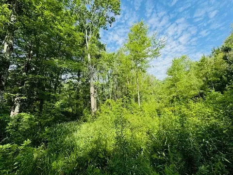 tbd Lee Dr, Bogue Chitto, MS 39629 photo 13