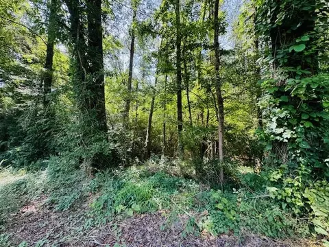 tbd Lee Dr, Bogue Chitto, MS 39629 photo 30