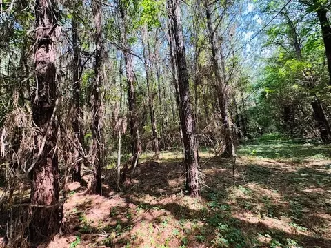 tbd Lee Dr, Bogue Chitto, MS 39629 photo 39