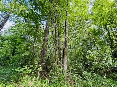 tbd Lee Dr, Bogue Chitto, MS 39629 photo 12